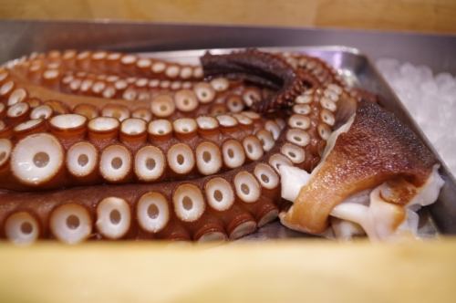 淡路のタコ