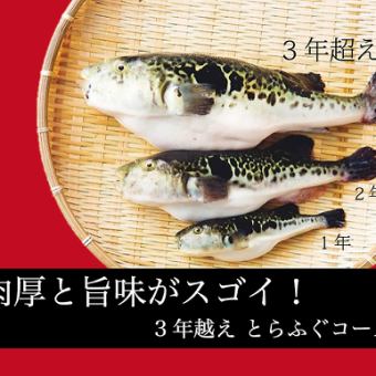 【飲み放題120分付き】 超デラックス！肉厚と旨味がすごい３年越え!とらふぐコース
