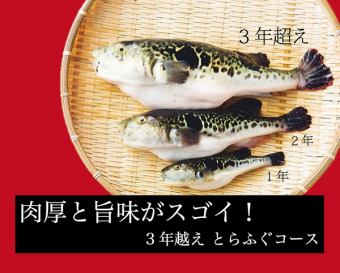 【飲み放題120分付き】 超デラックス!肉厚と旨味がすごい3年越え!とらふぐコース