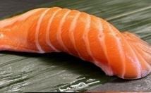 Salmon