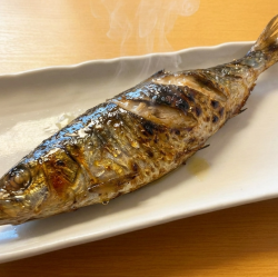 烤全肥鯡魚