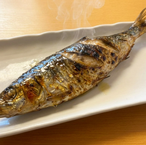 大トロにしん1本焼き