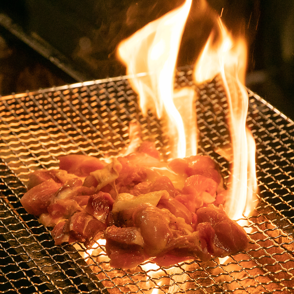 炭火で豪快に焼き上げる地鶏は絶品！