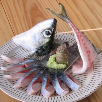 活魚　サバの鉄引き　＜大＞