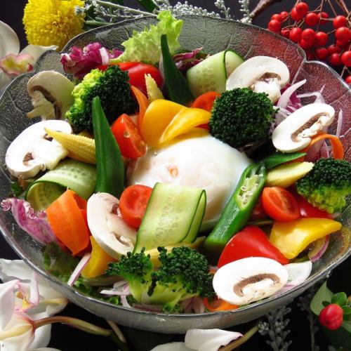 10種の野菜と温泉卵の彩サラダ ゴマ味噌ドレッシング