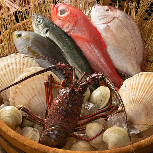 直接目利きで仕入れる豊洲鮮魚