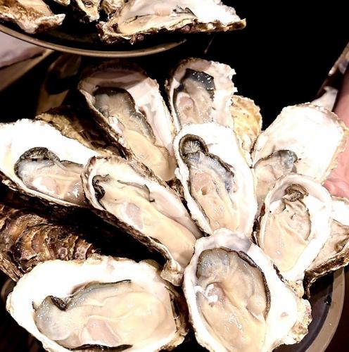 【大好評食べ放題】生牡蠣・牡蠣フライ・ホタテ・タコ