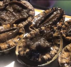 超特大黒あわび