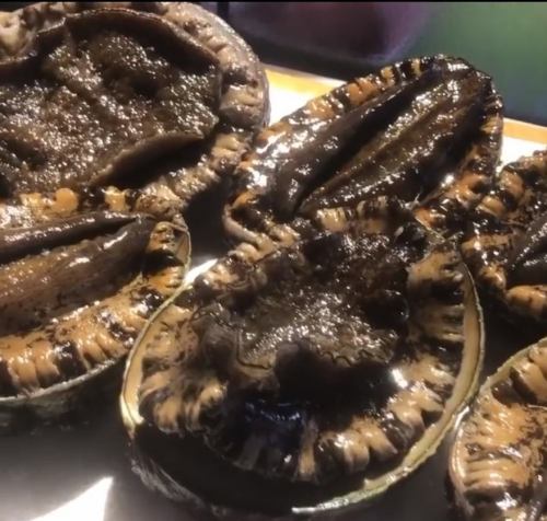 초대형 검정 전복