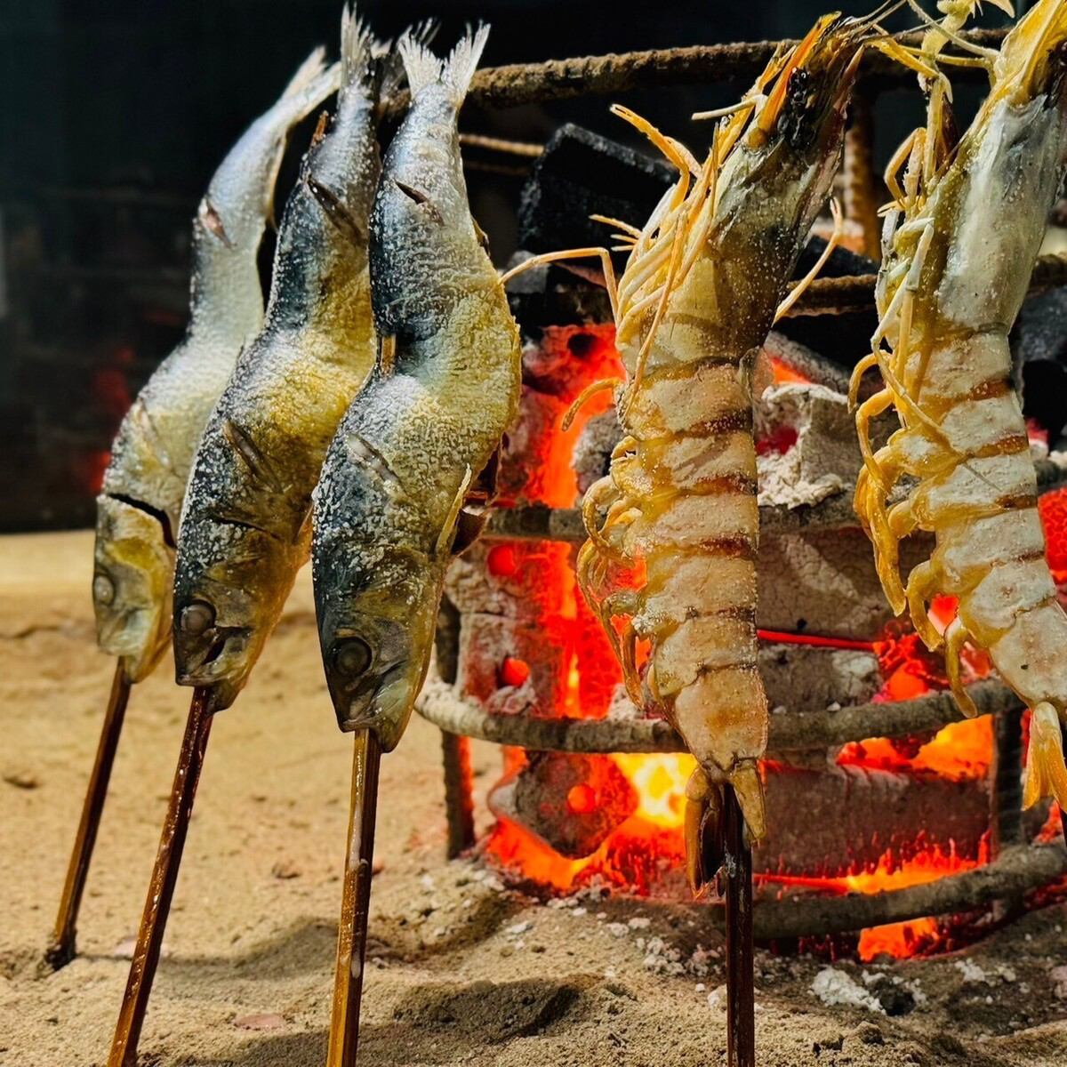 肥美的鮪魚沙丁魚等講究新鮮度的菜單種類豐富！