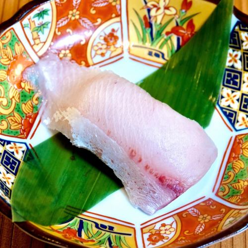 Yellowtail (Hamachi)