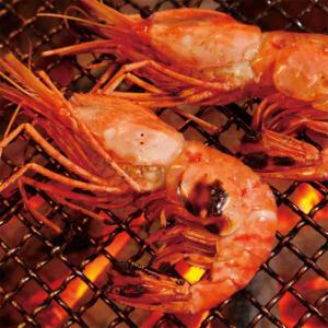 headed shrimp (2)