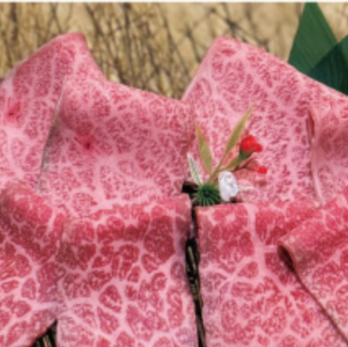 Assortment of 4 types of Matsusaka beef and Wagyu beef