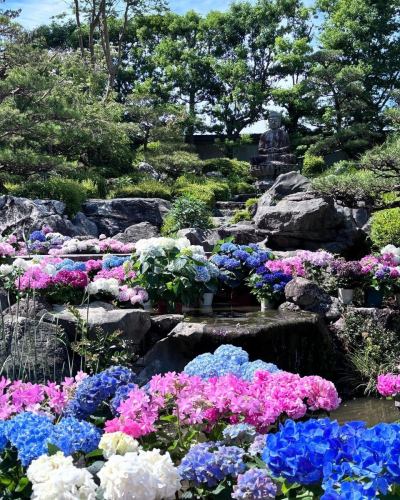 當麻寺奥院さんから画像転用

今の時期は紫陽花が綺麗ですね～（＾＾

#當麻寺 #當麻寺奥院 #紫陽花