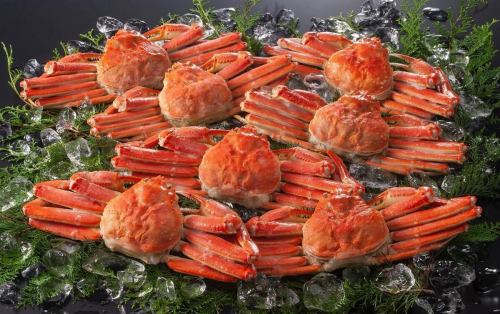 We apologize for the wait! Starting today, November 15th, we will be serving "Matsuba crab directly from Kasumi Port" as a Kamameshi! Quantities are limited, so please enjoy it soon!

#NaraGourmet #NaraLunch #TamaderaTemple #Kamameshi #Kamameshi #Kamameshi #Crab #MatsubaCrab