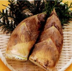 Seasonal Kamameshi (rice cooked in a pot): Freshly picked bamboo shoots (Sendomeshi)