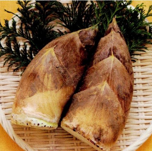 Seasonal Kamameshi (rice cooked in a pot): Freshly picked bamboo shoots (Sendomeshi)