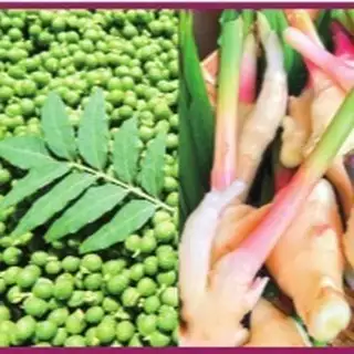 我們的夏季釜飯「山椒鮮薑」今天開始供應囉！今年的釜飯加入了大量的新鮮薑、滿滿的山椒，還有自製雞肉丸！數量有限，售完為止，千萬別錯過！