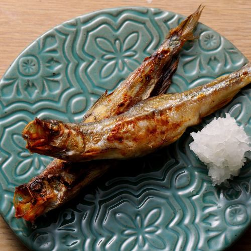 北海道胡瓜魚（公、母）各1條