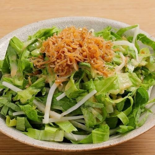 Shredded romaine lettuce and small sardine salad
