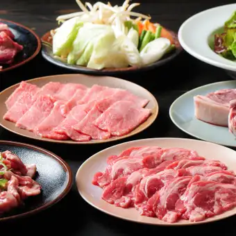 【生OK】【昼飲みＯＫ】【2.5h飲み放題付き】 ジンギスカン＆焼肉コース 全12品 4500円（税込）
