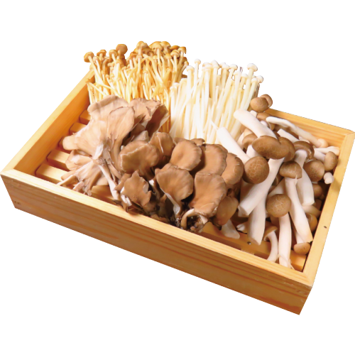 ★ All-you-can-eat menu ★ Mushrooms