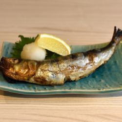 왕 이와시의 둥근 말린