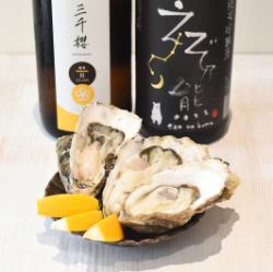 산지별! 생굴 3종 모듬