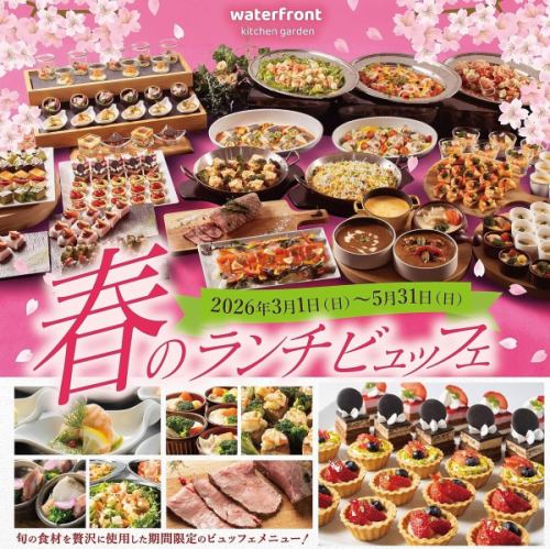 ♪春ランチビュッフェ開催