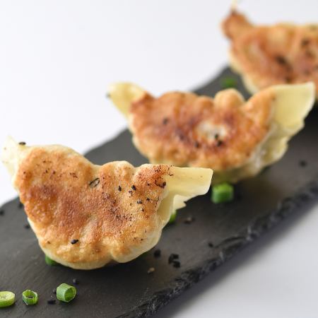 Hand-wrapped pan-fried dumplings (2 pieces)