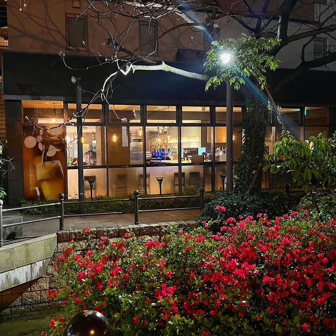 落ち着いた雰囲気の店内でお食事をお楽しみいただけます。