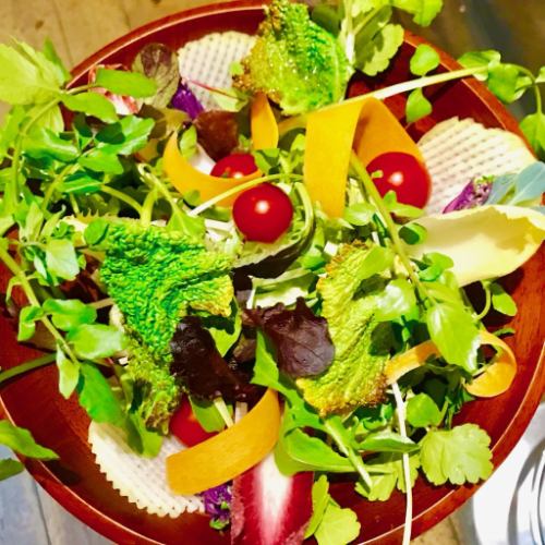 農家花園沙拉（1,280日元） 水果般的甜味，搭配濃鬱的西紅柿和時令無農藥蔬菜★