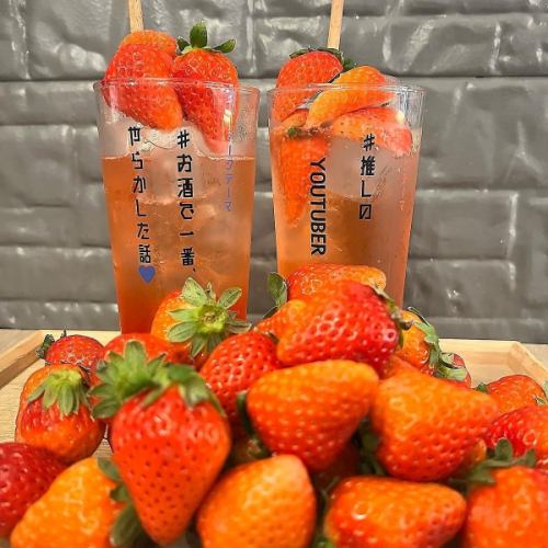 ◆ 과일 음료 ◆