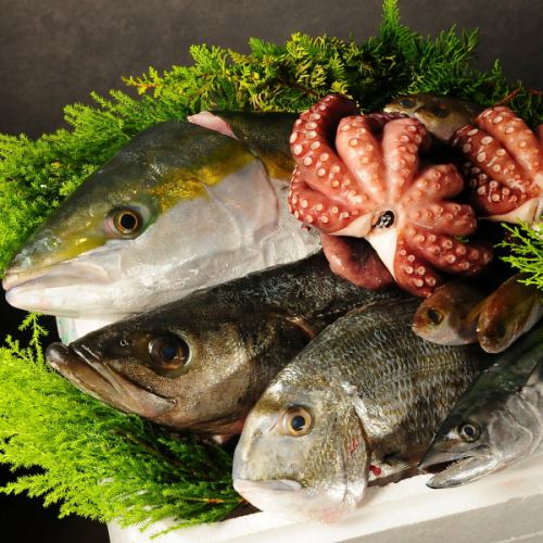 旬の鮮魚が充実★大阪産・泉州産をはじめとした味覚を