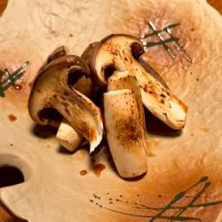 다이코쿠 책 시메지