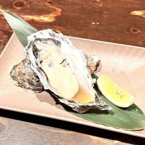 Domestic oyster (1 piece)