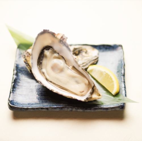 Enjoy luxurious Hokkaido oysters!