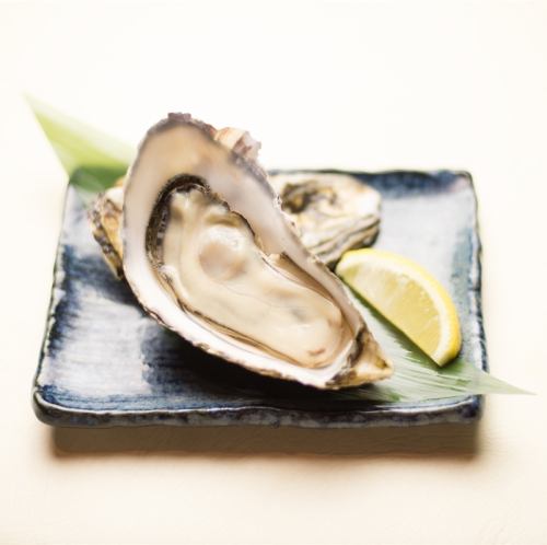 Fresh oysters from Hokkaido