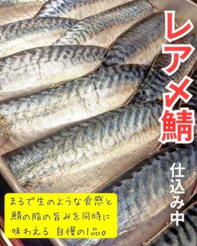 큰 바다의 식탁입니다 🐟

점내 구매
시메 사바입니다 ✨

원시와 같은 신선한 느낌
자랑의 시메 사바를 드세요 ‼
#오카이의 식탁 #이치가야 #점심 #점심 #japan #이치가야 음식 #일식점심
#이치가야 산책 #시모마치 #ichigaya #이자카야
#izakaya #tokyo #해물 #무제한 뷔페