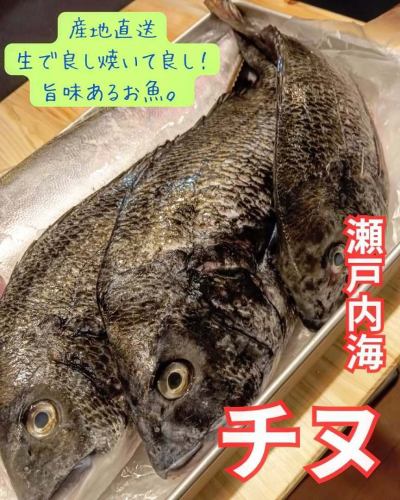 【海鮮和食】大海の食卓です🐟

瀬戸内水揚げの新鮮なチヌ。

旨味を含んだ味わいはそのままお造りで。
また、ふっくらほっこり焼いてよし☺️

是非是非今宵もお待ちしております。

#大海の食卓 #市ヶ谷 #昼呑み #ランチ #japan #市ヶ谷グルメ #和食ランチ #和食 
#市ヶ谷散歩 #下町 #ichigaya #居酒屋
#izakaya #tokyo #海鮮 #食べ放題 #六番町