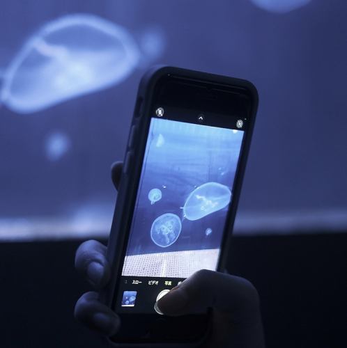 각 자리에서 볼 수 있는 해월