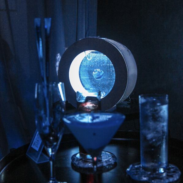 店内には、巨大水槽2つに加えて、各席に海月ミニ水槽を設置しておりどの席からも海月を見ることができます