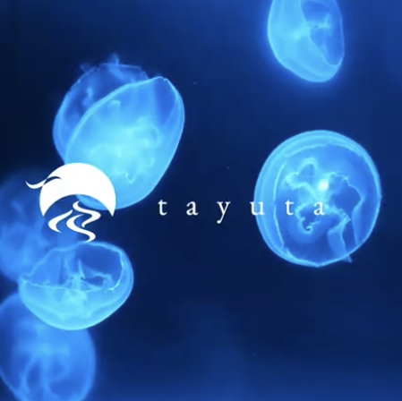 餐厅内设有两座巨大的水母缸，每个座位旁边还配有小型水族箱。你可以一边放松一边观赏水母。