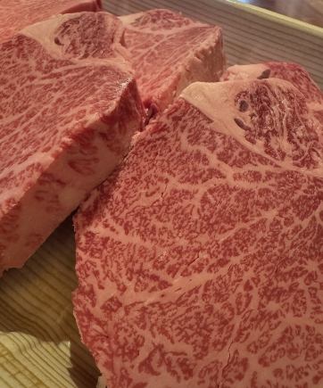 【午餐套餐】IL Terra 高级套餐★ 6道菜 8,250日元（含税）