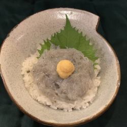 Raw whitebait rice bowl