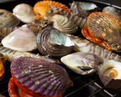 Hamayaki special set