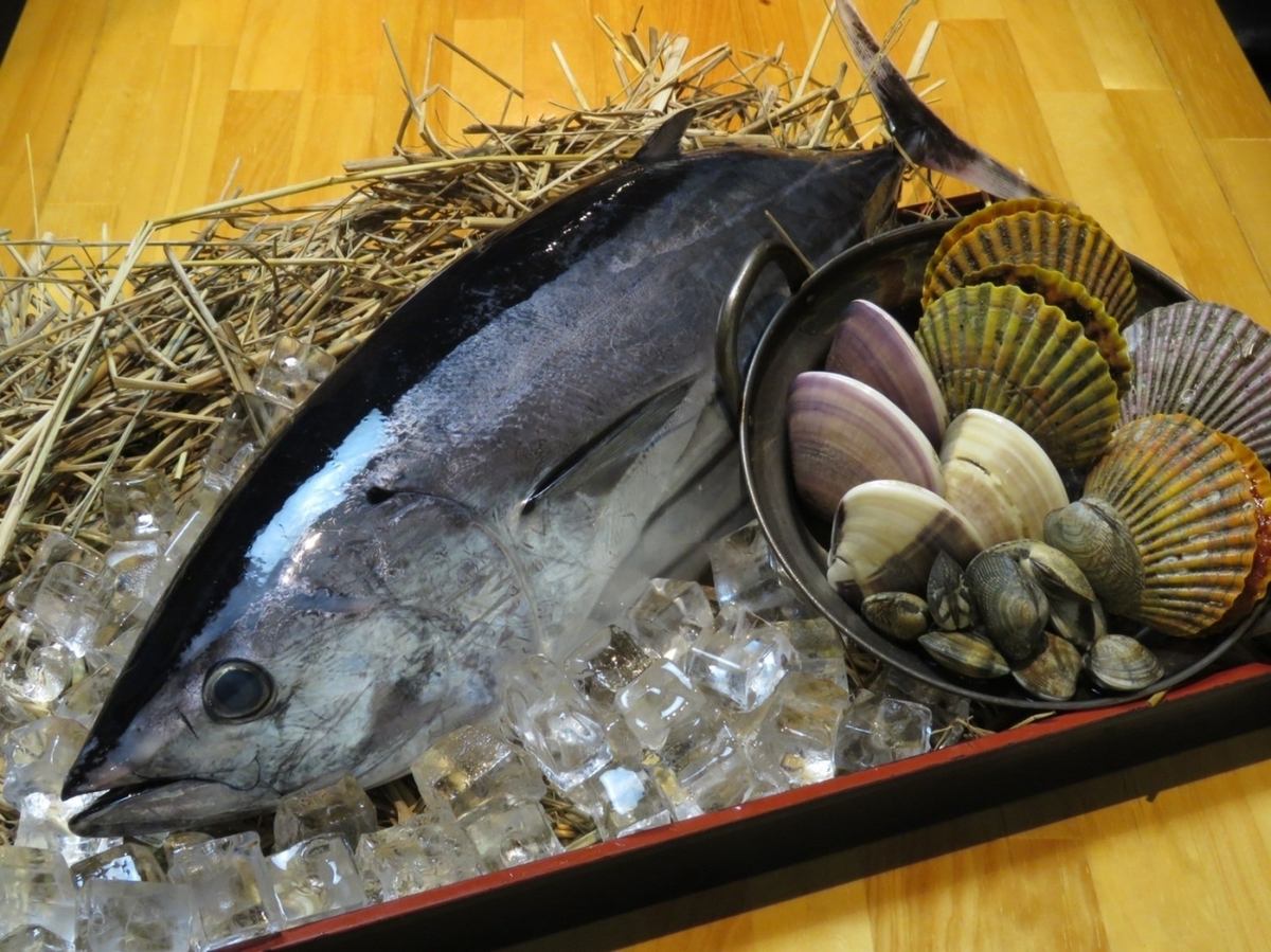 高知の地物が勢揃い!高知を堪能するなら稲屋一択!