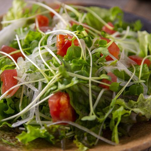 Green salad with your choice of dressing (plum, lemon, sesame, onion)