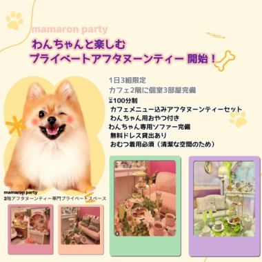1名+わんちゃん同伴プラン【5月・6月限定】　土日祝　[May & June Afternoon Tea]＠5,750円