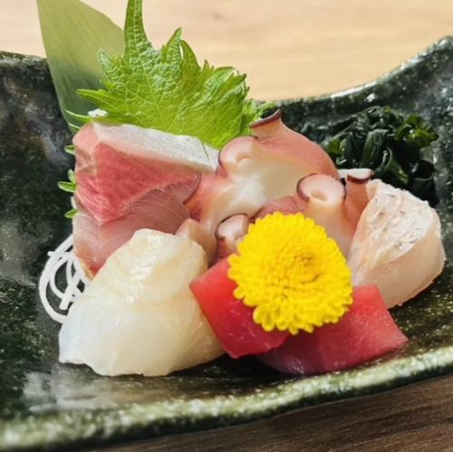 本日の刺身